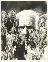 Ernst, Max, 1891-1976 